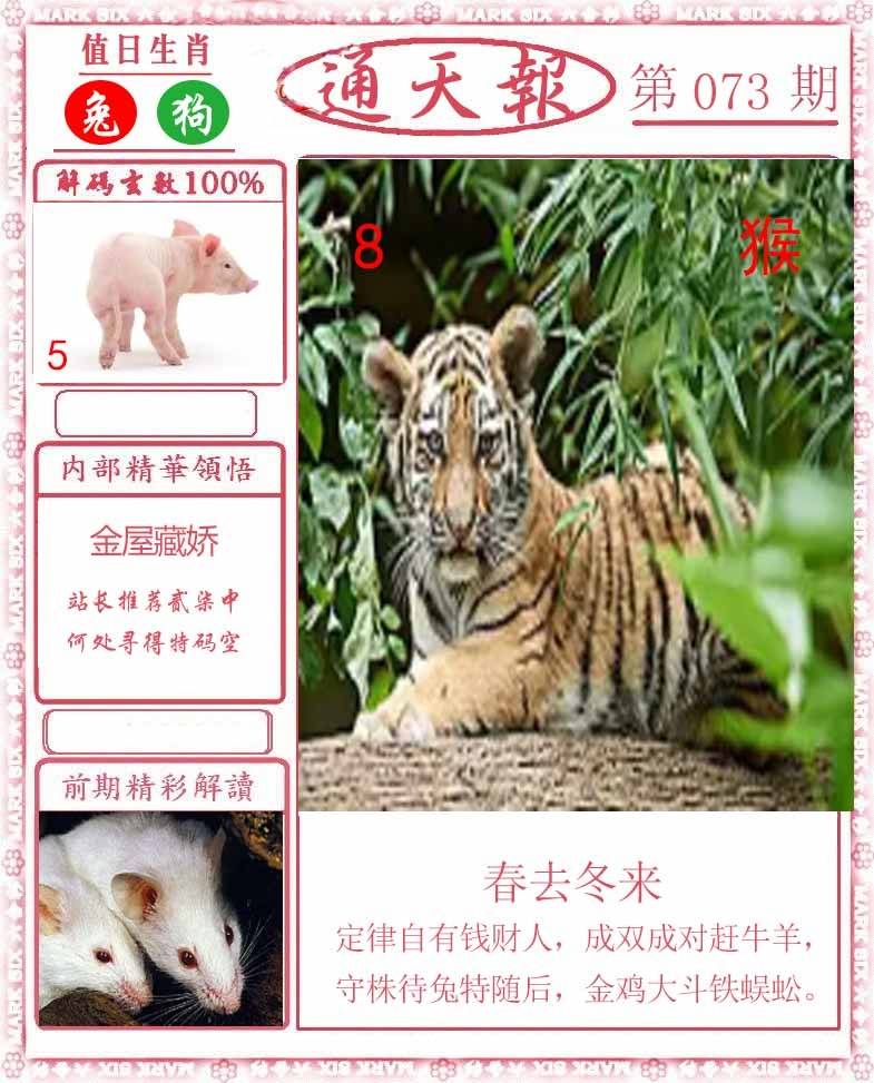 正版通天报