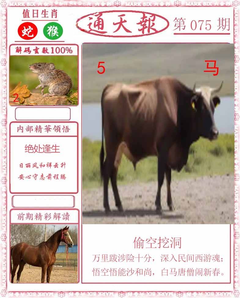 正版通天报