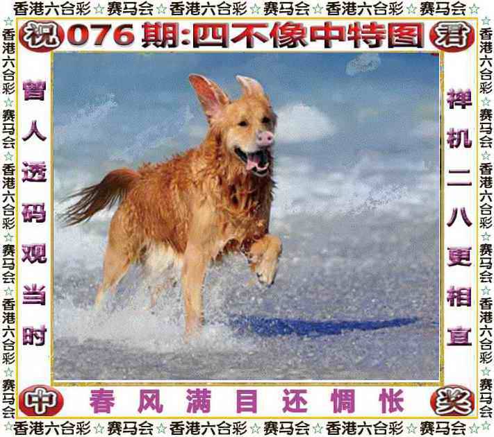 正版四不像