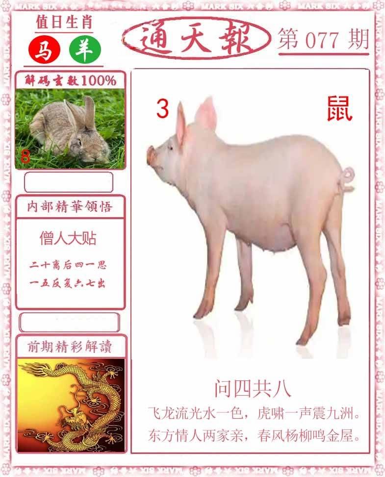 正版通天报
