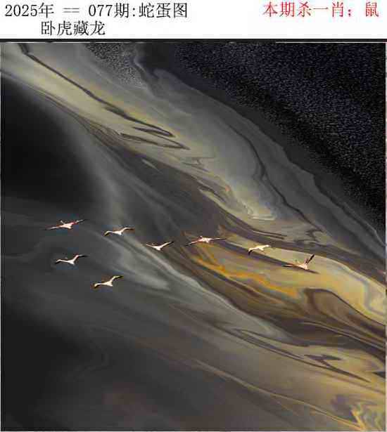 正版蛇蛋图