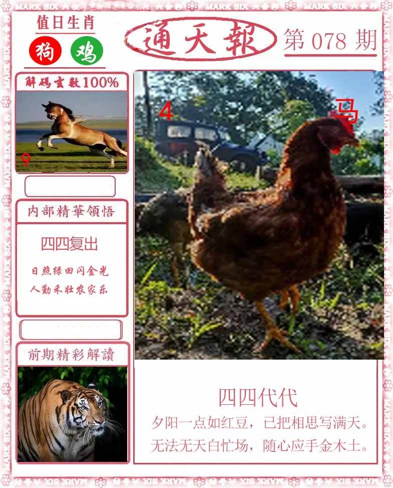 正版通天报