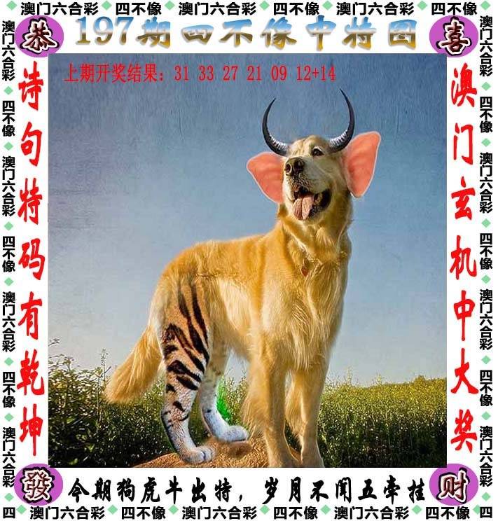 四不像中特图